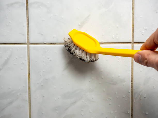 Best Local Mold Removal Service  in Lemmon Valley, NV