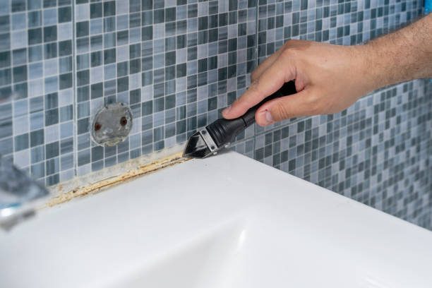 Best Certified Mold Removal  in Lemmon Valley, NV